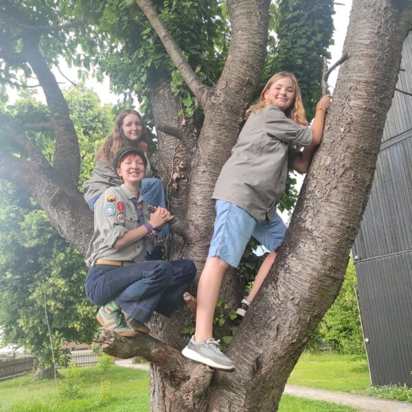 Drei Personen auf einem Baum